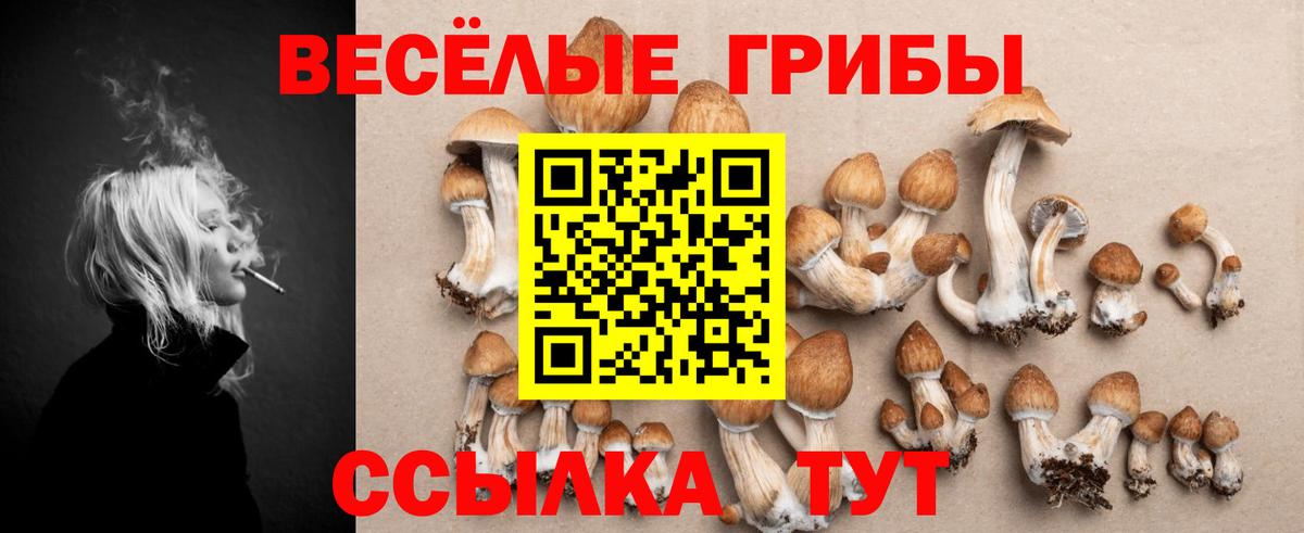 Галлюциногенные грибы GOLDEN TEACHER  Вход с VPN  Кострома  Псилоцибиновые грибы Magic Shrooms 