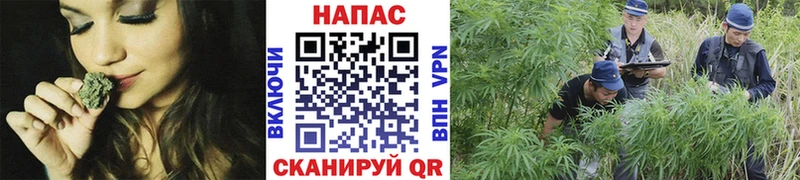 МАРИХУАНА AK-47  Кострома 